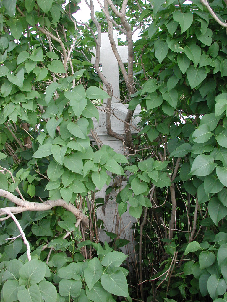 Headstone